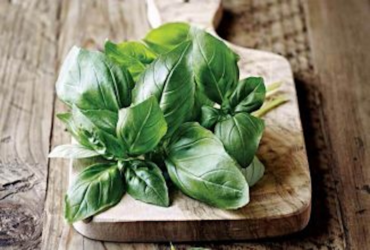 Building Bridges With Basil, Rosemary, And Yarrow